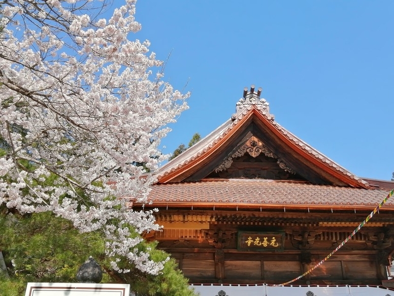 f:id:uriday:20220410120217j:plain