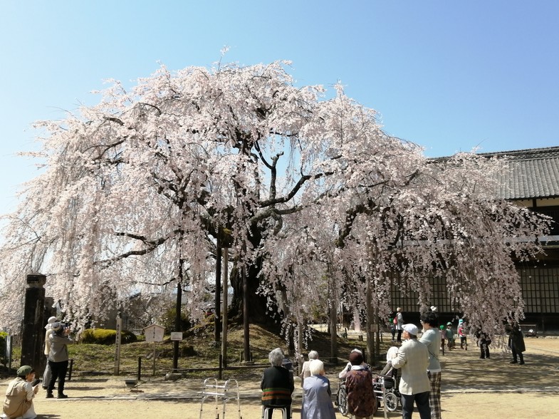 f:id:uriday:20220410120220j:plain