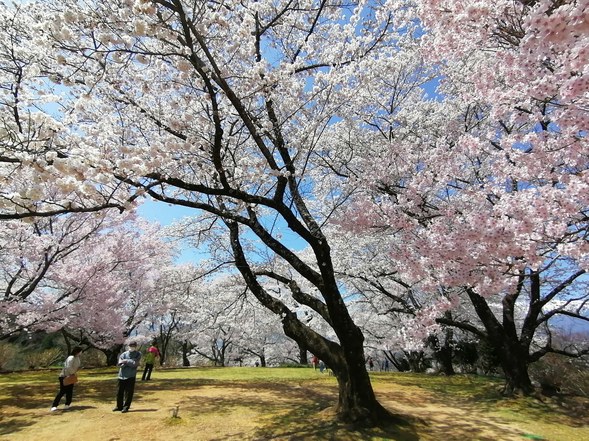 f:id:uriday:20220412100154j:plain