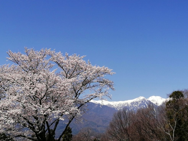 f:id:uriday:20220412100156j:plain