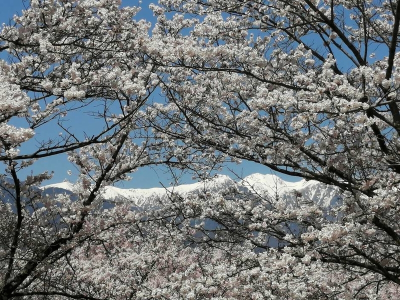 f:id:uriday:20220412100158j:plain