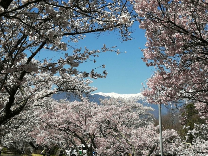 f:id:uriday:20220412100201j:plain