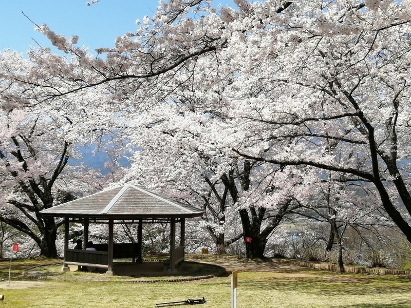 f:id:uriday:20220412100203j:plain