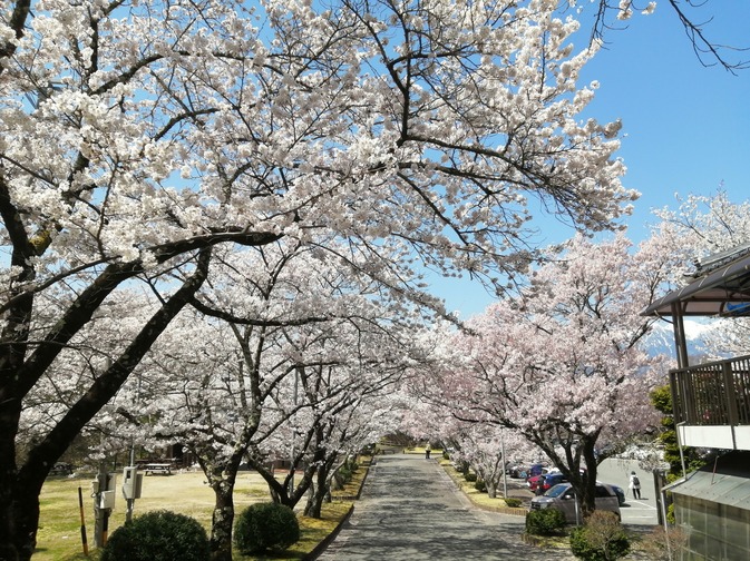 f:id:uriday:20220412100208j:plain