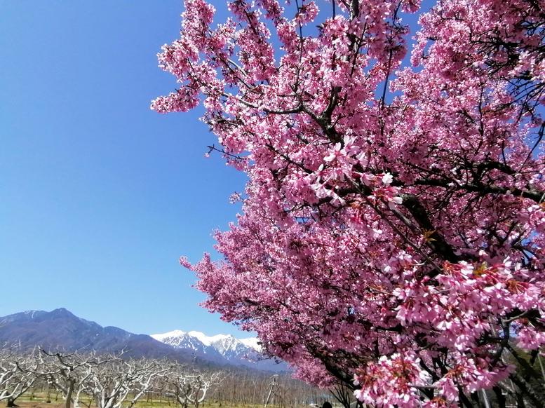 f:id:uriday:20220412100315j:plain