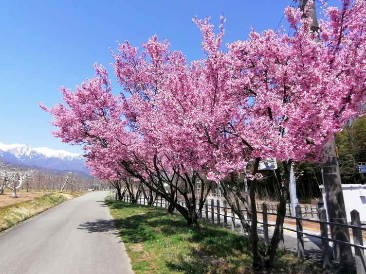 f:id:uriday:20220412100317j:plain