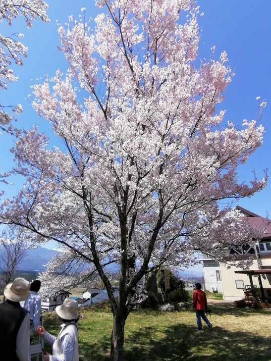 f:id:uriday:20220412100319j:plain