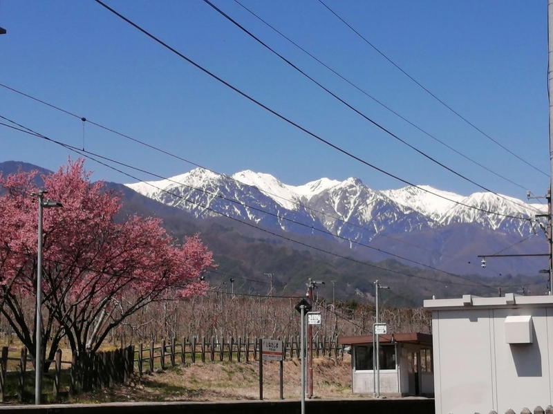 f:id:uriday:20220412100322j:plain