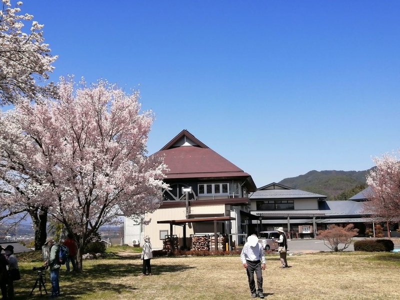 f:id:uriday:20220412100324j:plain