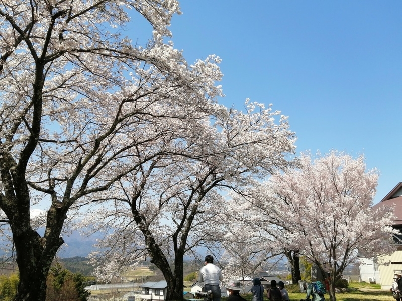 f:id:uriday:20220412100329j:plain