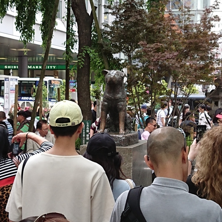 f:id:urigayatsu:20180519162346j:plain f:id:urigayatsu:20180519162346j:plain