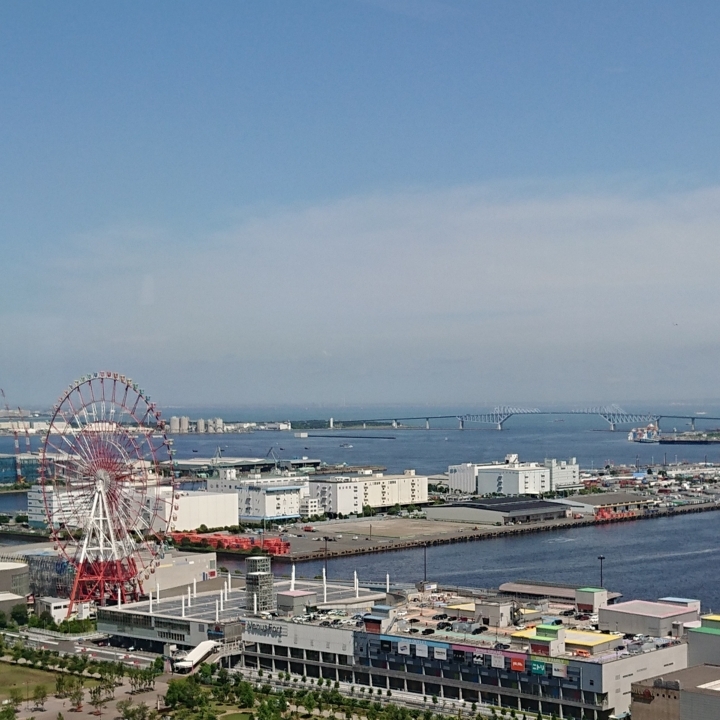 f:id:urigayatsu:20180607171045j:plain