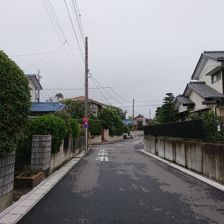 f:id:urigayatsu:20180930212250j:plain