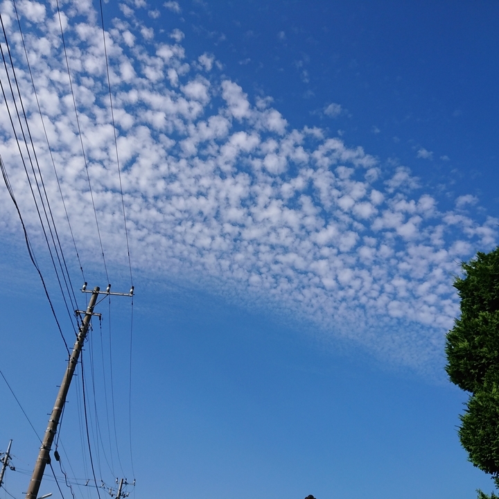 f:id:urigayatsu:20181002163847j:plain