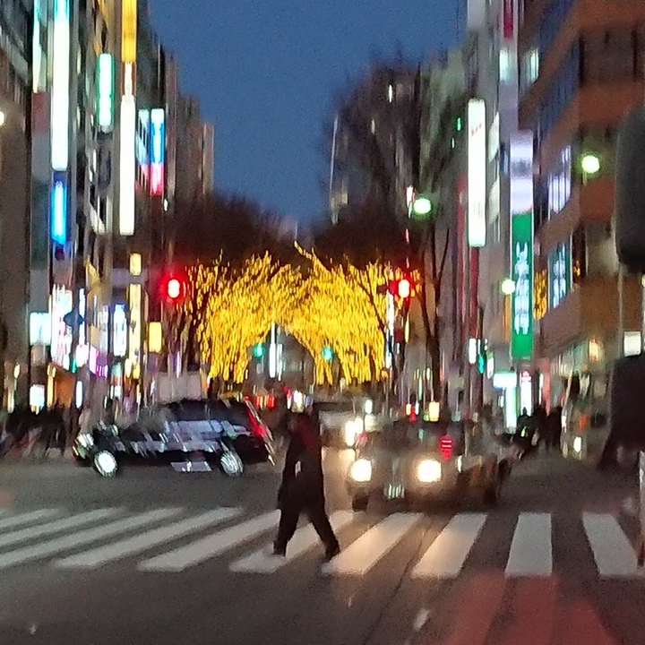 f:id:urigayatsu:20190109173814j:plain f:id:urigayatsu:20190109173814j:plain