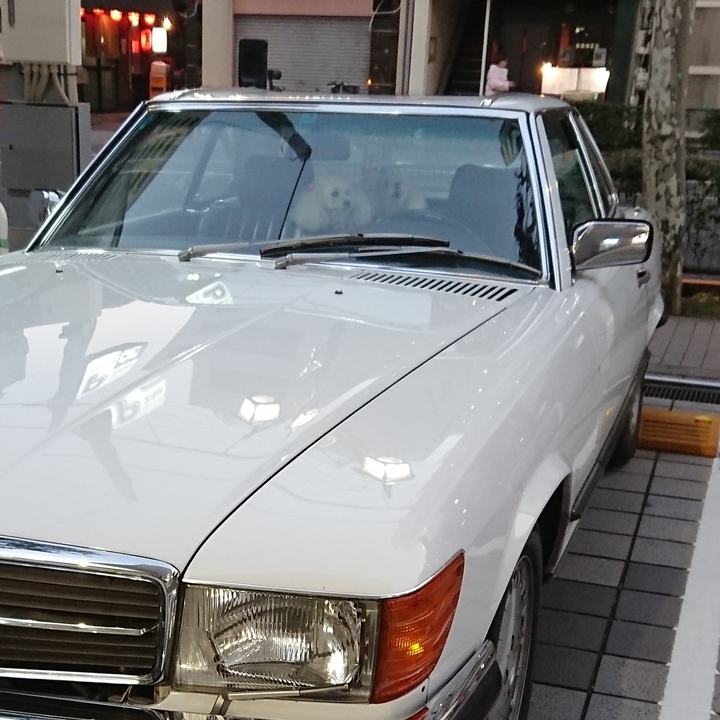 f:id:urigayatsu:20190110171921j:plain
