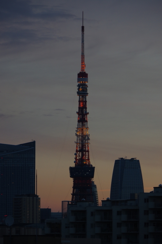 f:id:urigayatsu:20190310065034j:plain