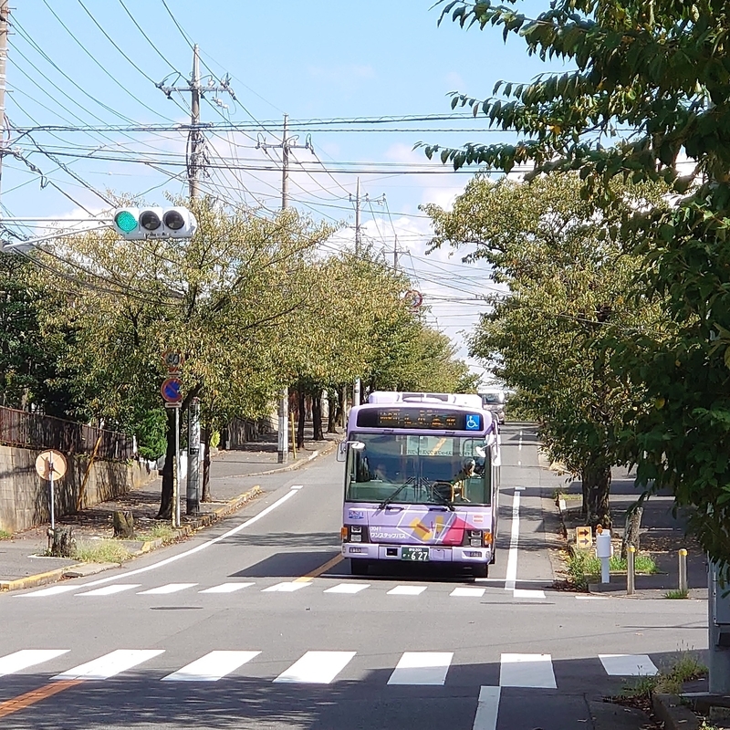 f:id:urigayatsu:20190919200155j:plain f:id:urigayatsu:20190919200155j:plain