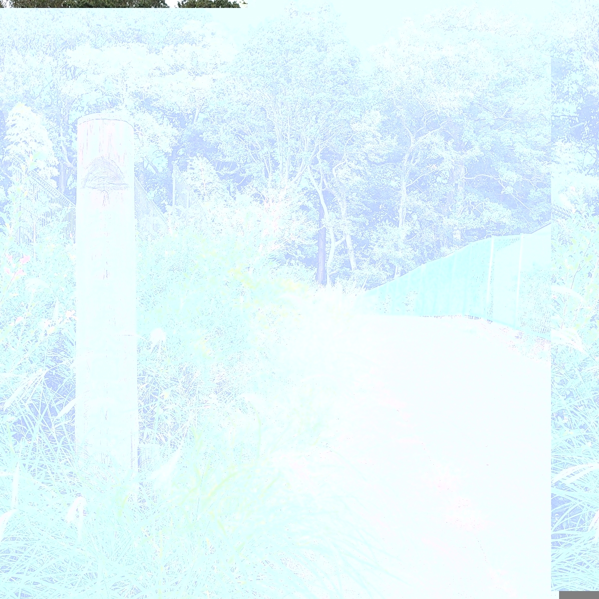 f:id:urigayatsu:20191021213404j:plain