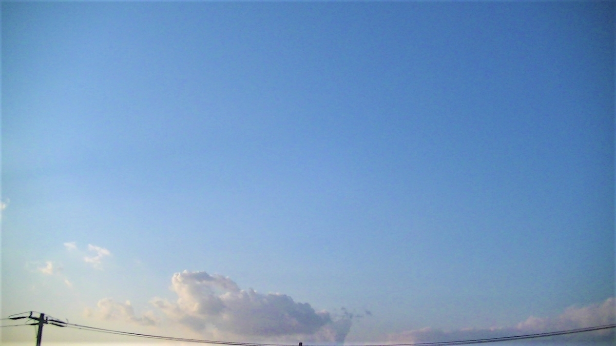 f:id:urimasaru:20200702004754j:plain