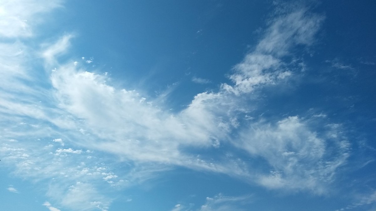 f:id:urimasaru:20201030213356j:plain