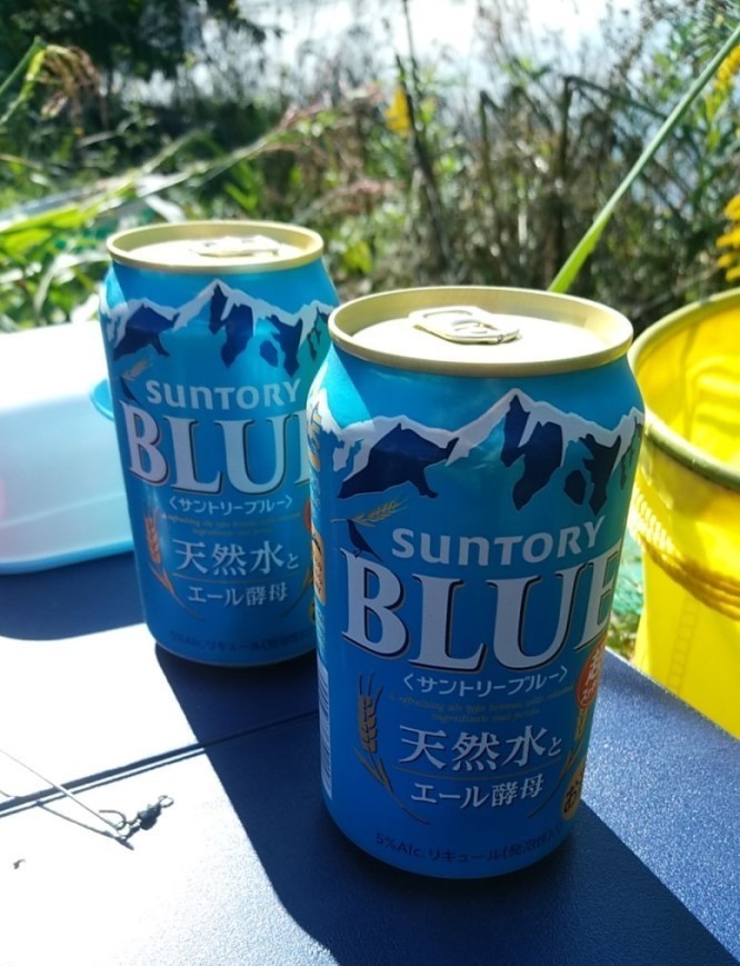 f:id:urimasaru:20201030213419j:plain