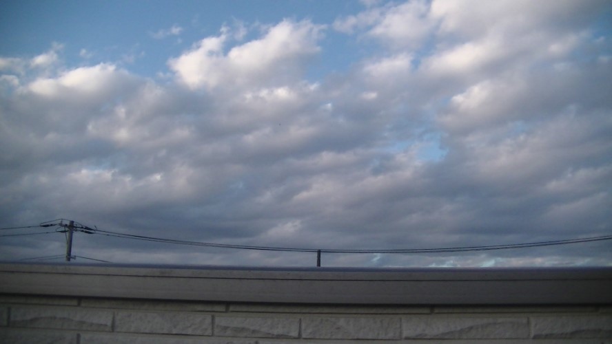 f:id:urimasaru:20201112224907j:plain