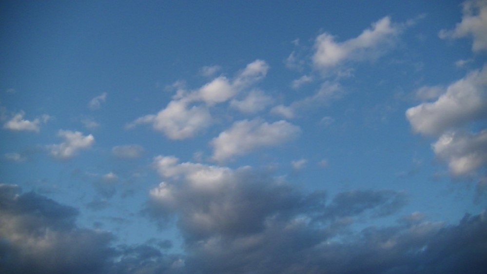 f:id:urimasaru:20201112225112j:plain