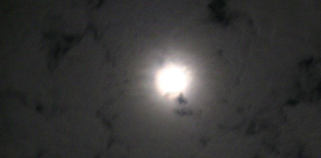 f:id:urimasaru:20210921234430j:plain
