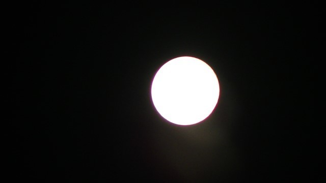 f:id:urimasaru:20210922010547j:plain