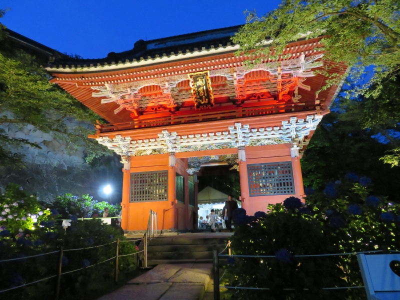 雨引観音のあじさい祭りライトアップ 2025.6.27 - ウリパパの日記