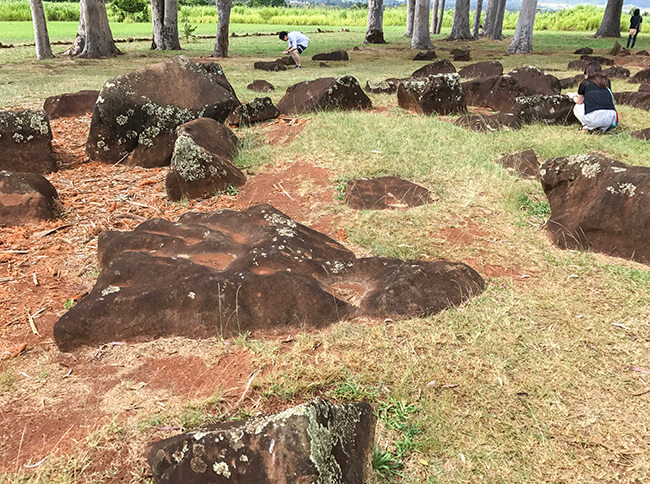 岩に手をかざしてみる