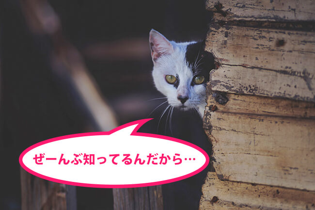 f:id:uriuridayo:20170207234011j:plain f:id:uriuridayo:20170207234011j:plain