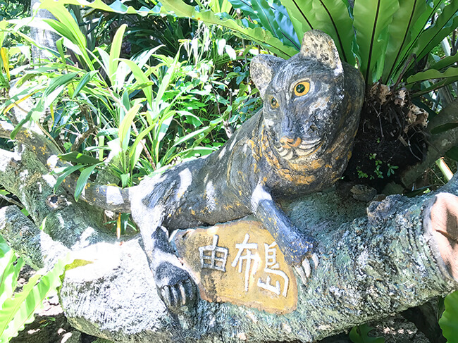 由布島のイリオモテヤマネコ