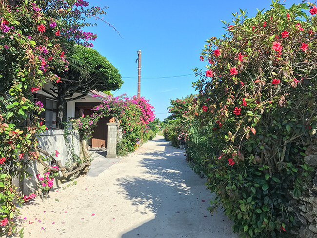 竹富島の路地