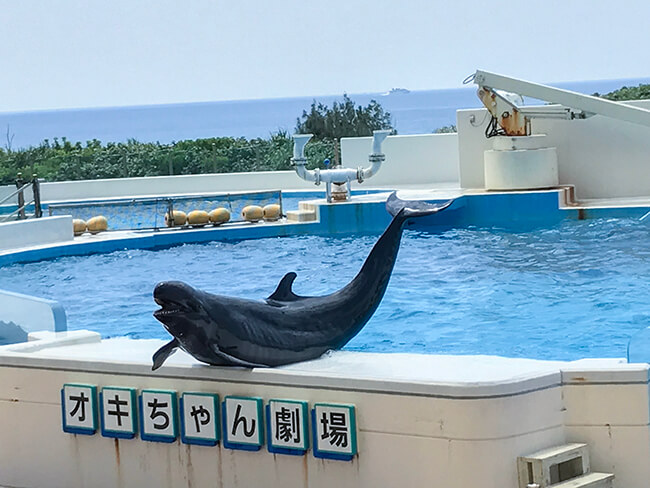 オキちゃん劇場