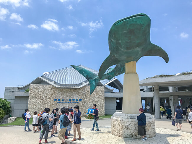 沖縄美ら海水族館