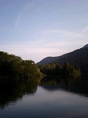 f:id:urncus:20080610174902j:image f:id:urncus:20080610174902j:image