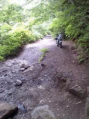 f:id:urncus:20080627153523j:image