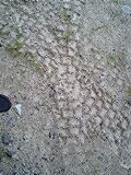 f:id:urncus:20091029210653j:image