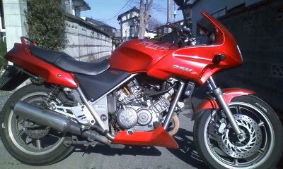 f:id:urncus:20100105111911j:image f:id:urncus:20100105111911j:image