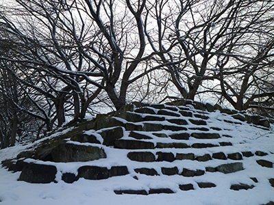 f:id:uroburo:20130104151557j:image