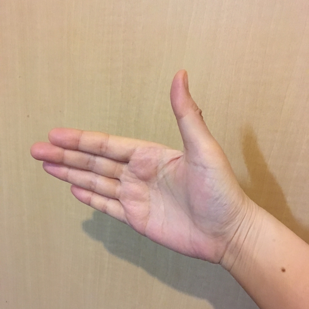 f:id:urococolu:20180520212524j:plain f:id:urococolu:20180520212524j:plain