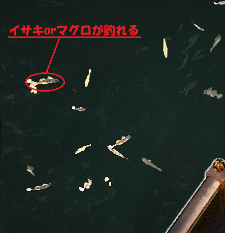 マグロ（イサキ）魚群