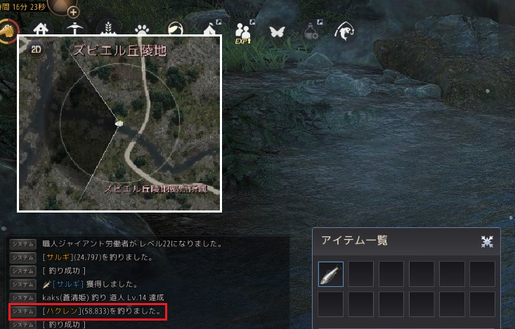 釣れたハクレン