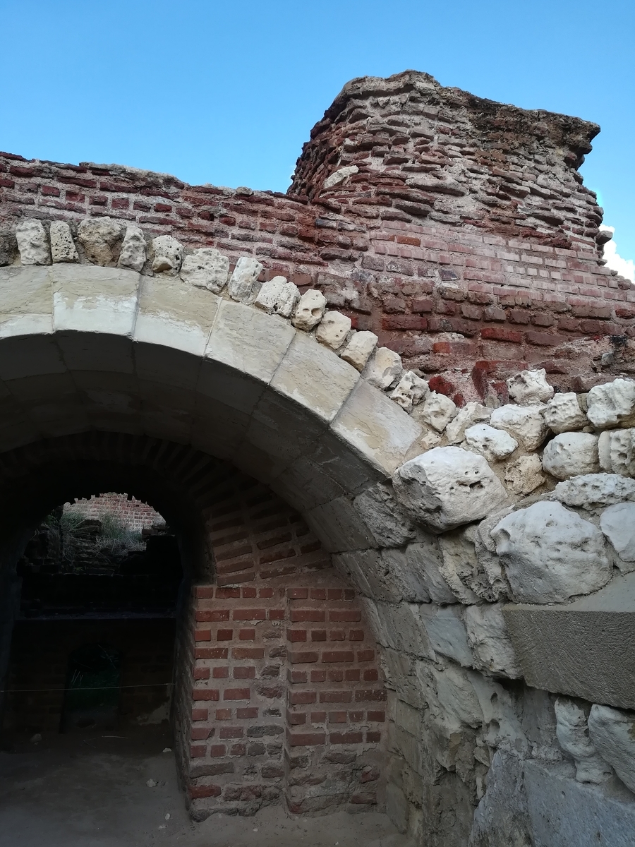 f:id:urotado:20200112152452j:plain f:id:urotado:20200112152452j:plain