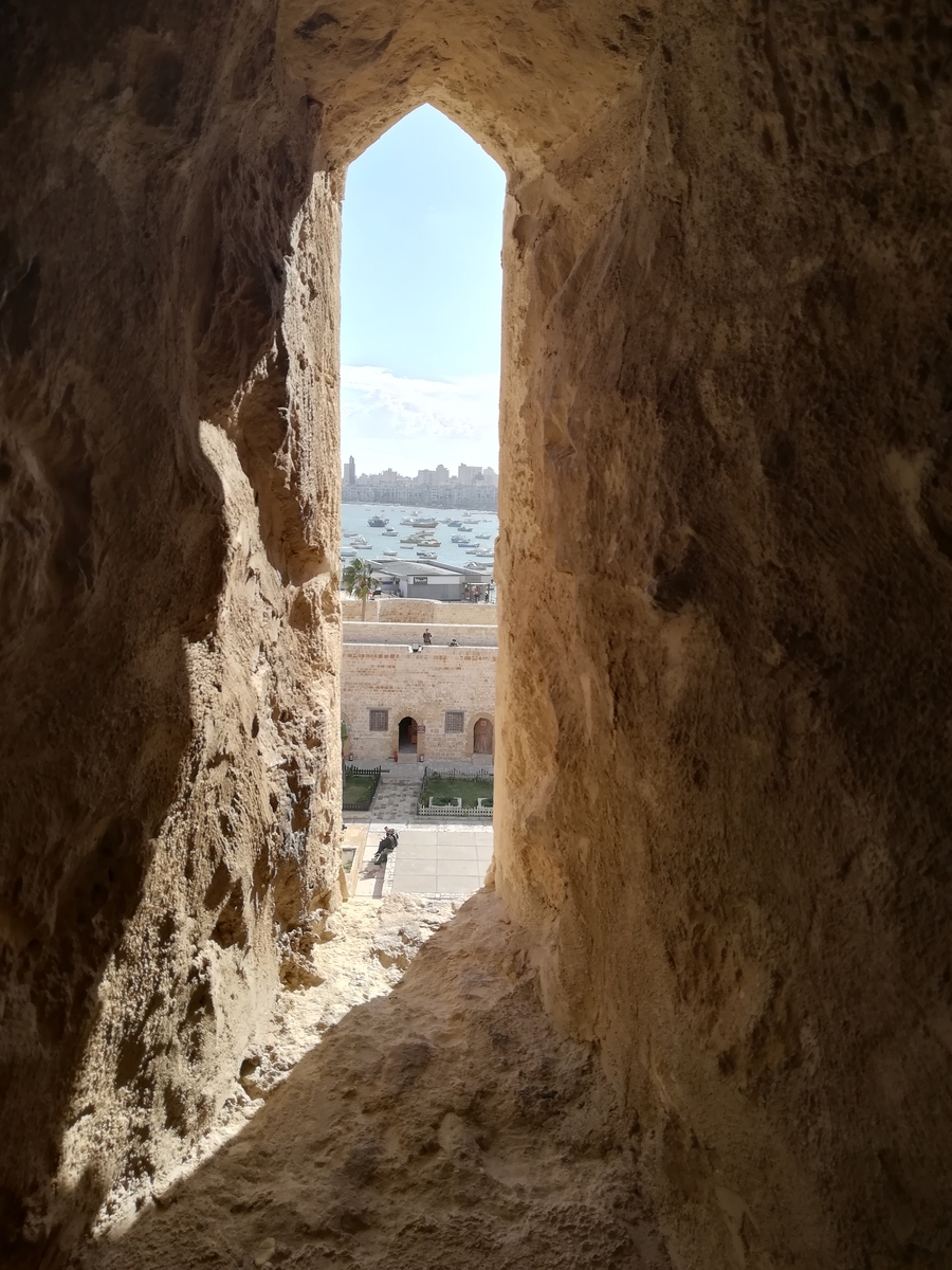 f:id:urotado:20200112152622j:plain f:id:urotado:20200112152622j:plain