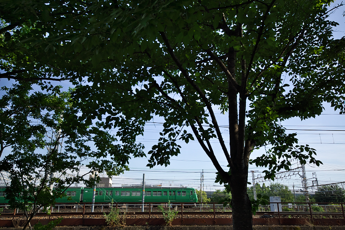 f:id:urotsukiki:20190609235655j:plain f:id:urotsukiki:20190609235655j:plain