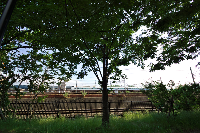 f:id:urotsukiki:20190609235700j:plain f:id:urotsukiki:20190609235700j:plain