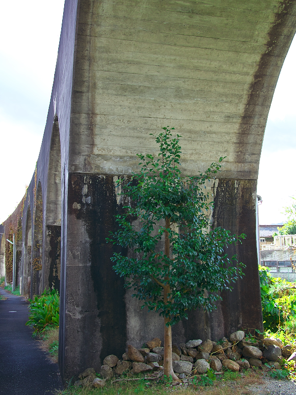 f:id:urotsukiki:20220112115443j:plain